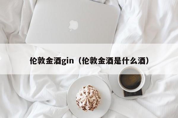 伦敦金酒gin（伦敦金酒是什么酒）