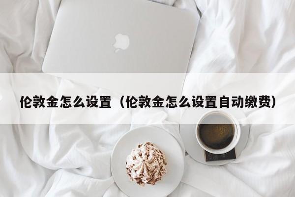 伦敦金怎么设置（伦敦金怎么设置自动缴费）