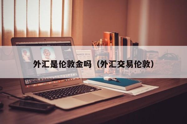 外汇是伦敦金吗（外汇交易伦敦）