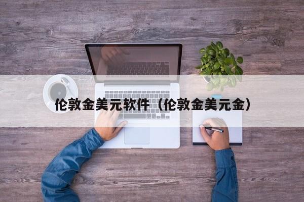伦敦金美元软件（伦敦金美元金）